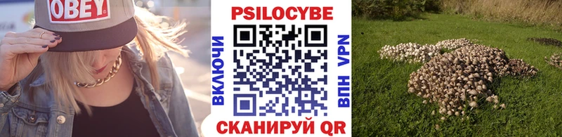 Галлюциногенные грибы ЛСД  мега ТОР  Пятигорск 