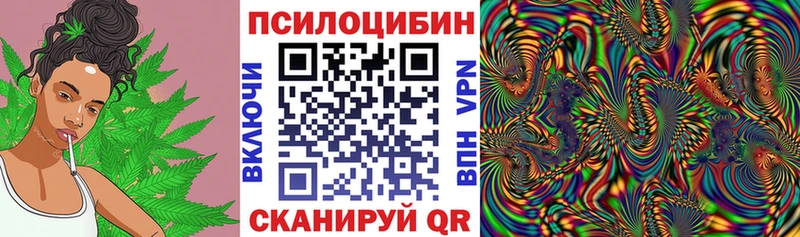 Псилоцибиновые грибы Psilocybine cubensis Пятигорск