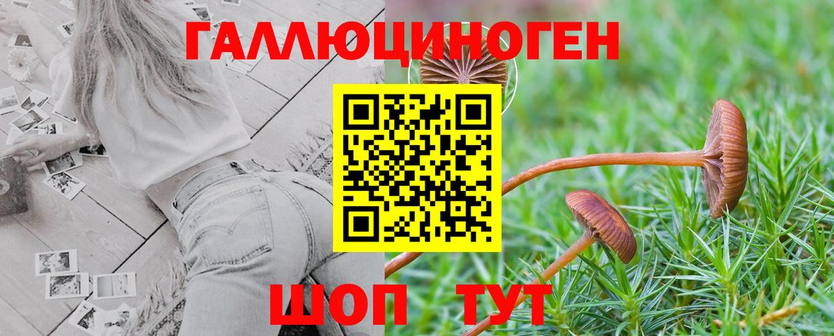 хочу наркоту  Вход с VPN  Пятигорск  Галлюциногенные грибы Cubensis 